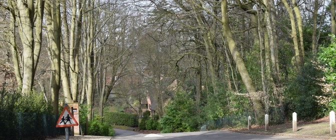 Manor Road running through woodland